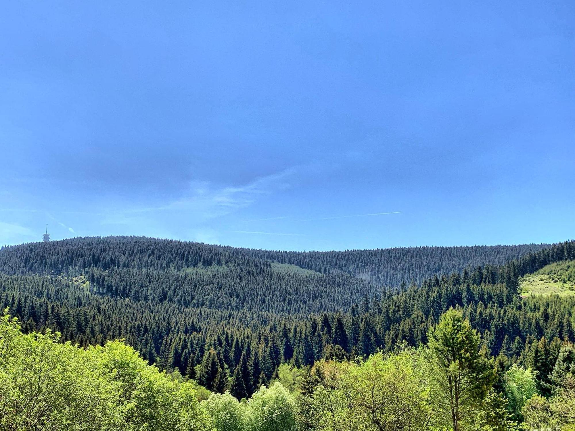 Erzgebirge Suite Bergruhe Oberwiesenthal Exteriör bild