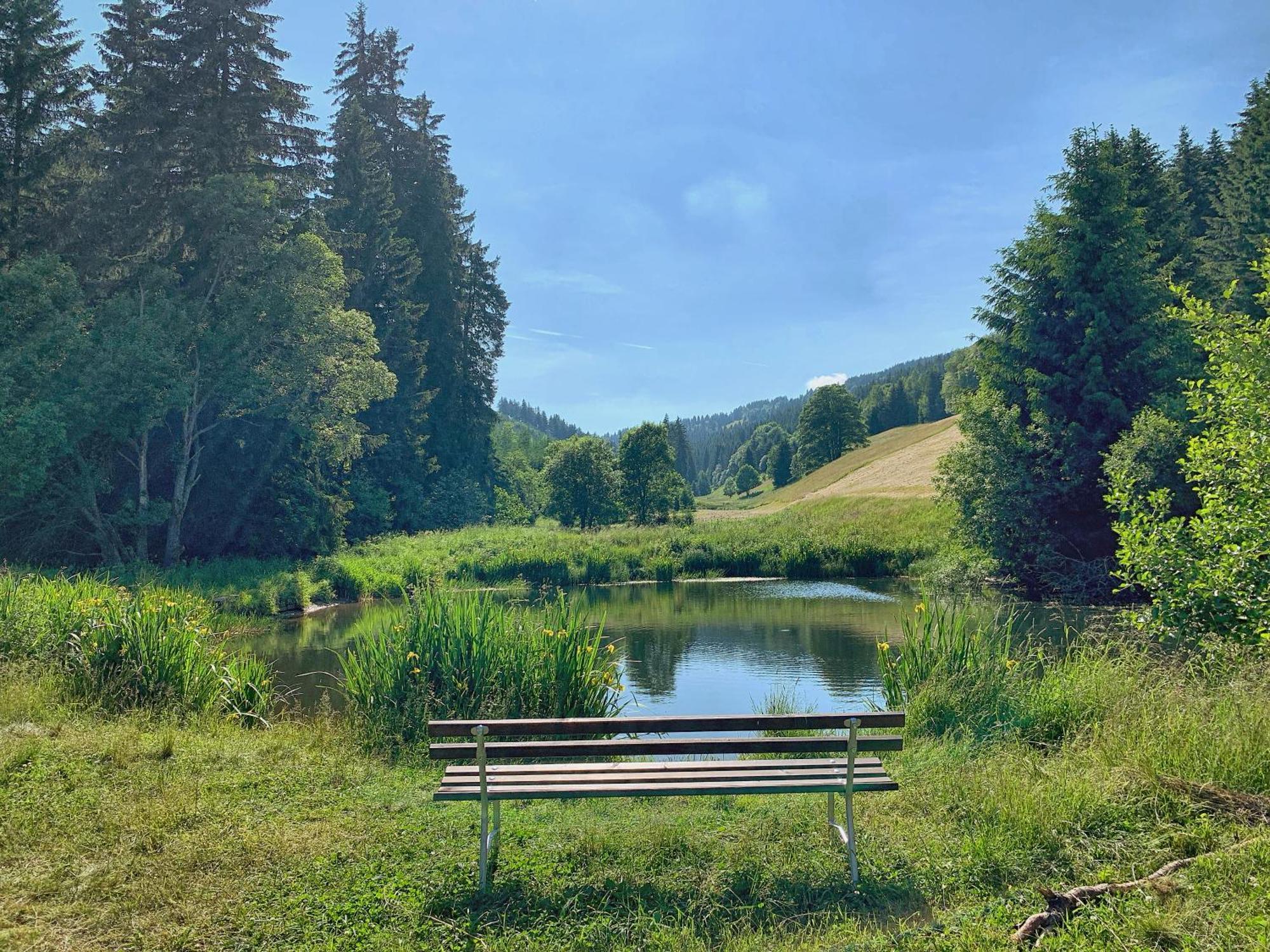 Erzgebirge Suite Bergruhe Oberwiesenthal Exteriör bild